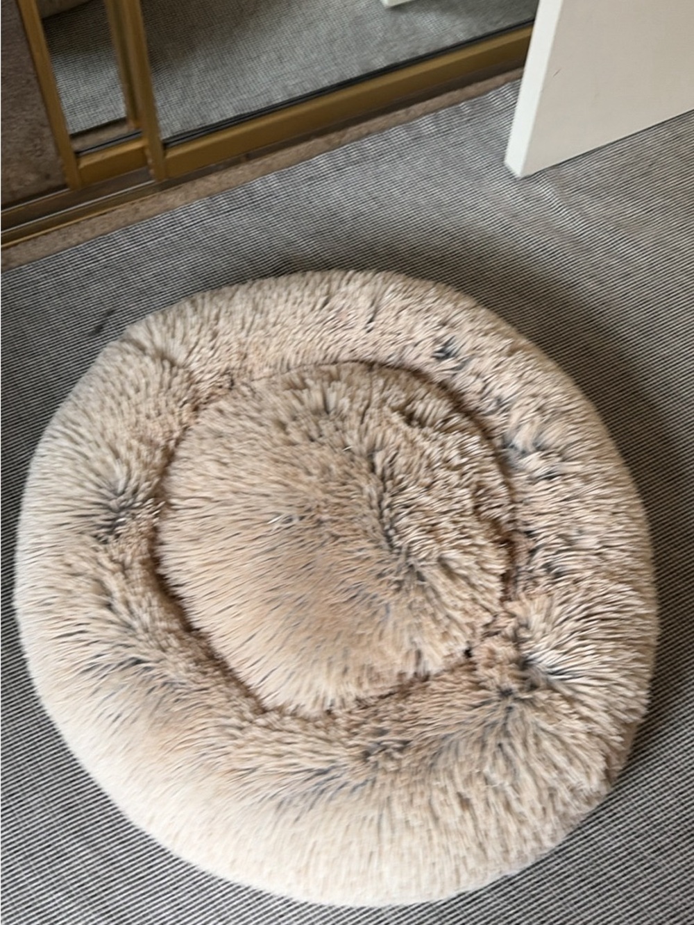 Best friends by Sheri shaggy donut bed